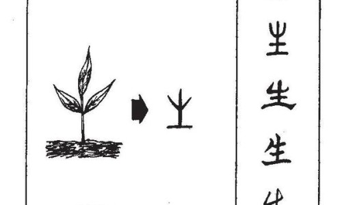 阿托伐他汀钙片的正确吃法-阿托伐他汀钙片功能与主治网- 阿托伐他汀钙片的功效与主治知识,分享阿托伐他汀钙片功效